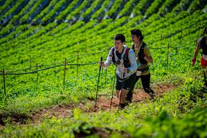 BIB: 
                            <button type="button" onclick="openModal(19162410)" class="btn btn-primary btn-sm float-right btn-popup" data-toggle="modal" data-target=".modal-high-quality">
                        <i class="fas fa-shopping-cart"></i> Add to Cart
                    </button>
                                            <button type="button" onclick="isThisMe(19162410, true)" class="btn btn-success btn-sm float-right btn-popup btn-isme hidden" data-toggle="tooltip" data-placement="bottom" title="นี่คือรูปของคุณใช่ไหม คลิกที่นี่เพื่อเอาเข้าอัลบั้ม">
                        <i class="fas fa-plus"></i> Add to album
                    </button>
                    <button type="button" onclick="isThisMe(19162410, false)" class="btn btn-warning btn-sm float-right btn-popup btn-isnotme hidden">
                        <i class="fas fa-ban"></i> Remove from album
                    </button>